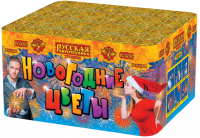 Новогодние цветы Фейерверк купить в Октябрьском Архангельской области | oktyabrskijarhangelskaya.salutsklad.ru