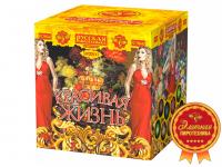 Красивая жизнь Фейерверк купить в Октябрьском Архангельской области | oktyabrskijarhangelskaya.salutsklad.ru