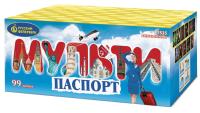 Мультипаспорт Салют купить в Октябрьском Архангельской области | oktyabrskijarhangelskaya.salutsklad.ru