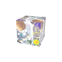 Новогодняя ночь Салют купить в Октябрьском Архангельской области | oktyabrskijarhangelskaya.salutsklad.ru