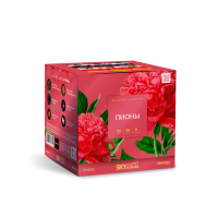 Пионы Салют купить в Октябрьском Архангельской области | oktyabrskijarhangelskaya.salutsklad.ru