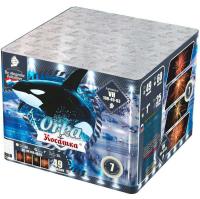 Косатка Фейерверк купить в Октябрьском Архангельской области | oktyabrskijarhangelskaya.salutsklad.ru