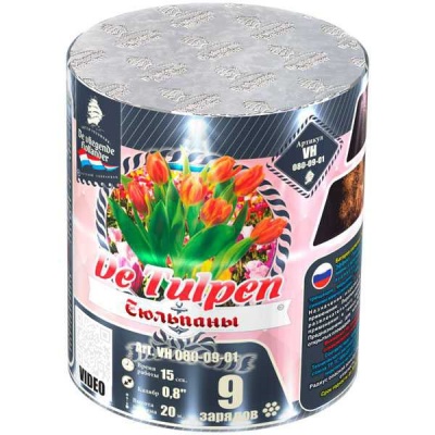 Тюльпаны Батарея салютов купить в Октябрьском Архангельской области | oktyabrskijarhangelskaya.salutsklad.ru